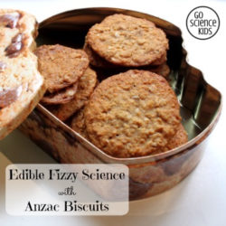 Edible Fizzy Science with Anzac Biscuits