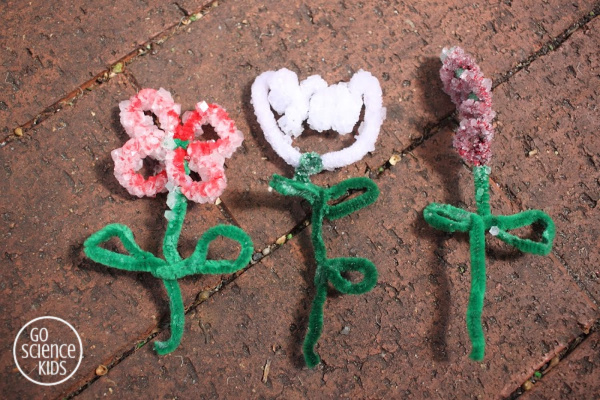 crystal flowers science project