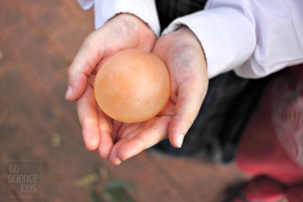 A 'naked egg' - raw egg with no eggshell