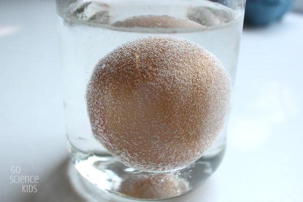 Bubbles of carbon dioxide forming after acid base reaction between eggshell and vinegar