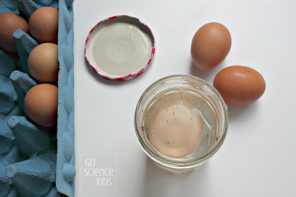Creating a 'naked egg'