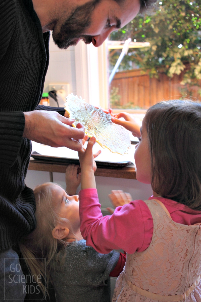 Making homemade edible sugar glass - Go Science Kids