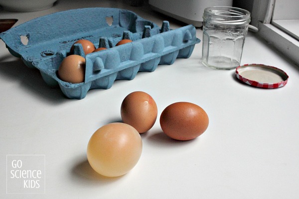Naked egg experiment