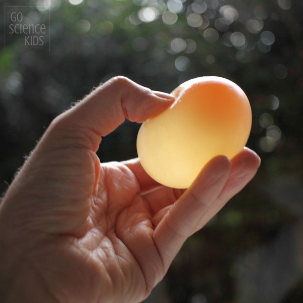Naked egg science experiment for kids