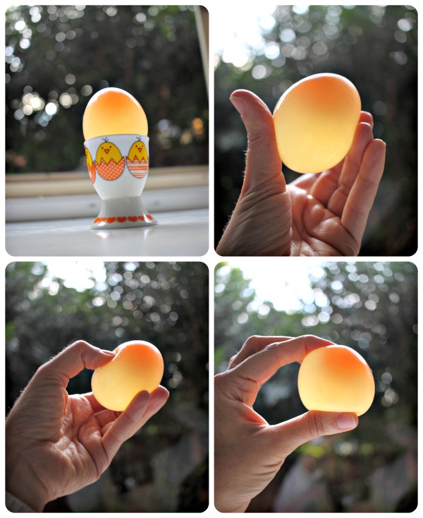 Rubbery, translucent, 'naked' eggs