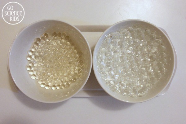 Tonic vs regular water beads