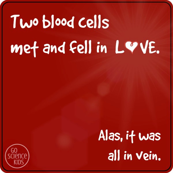 Two blood cells met and fell in love science joke for kids