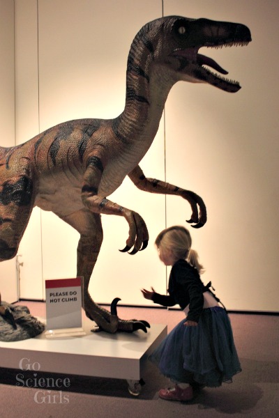 Dinosaurs at the Australian Museum