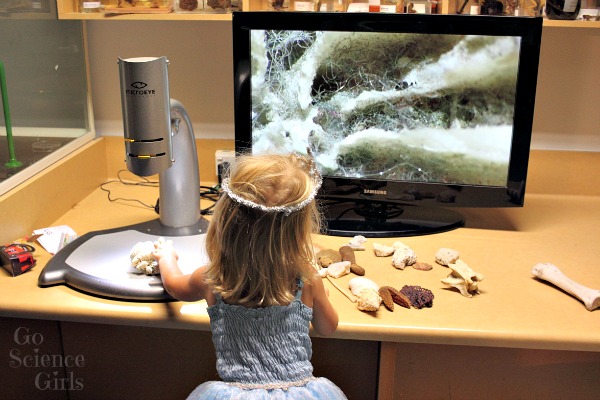 Hands on science exploration at the Australian Museum