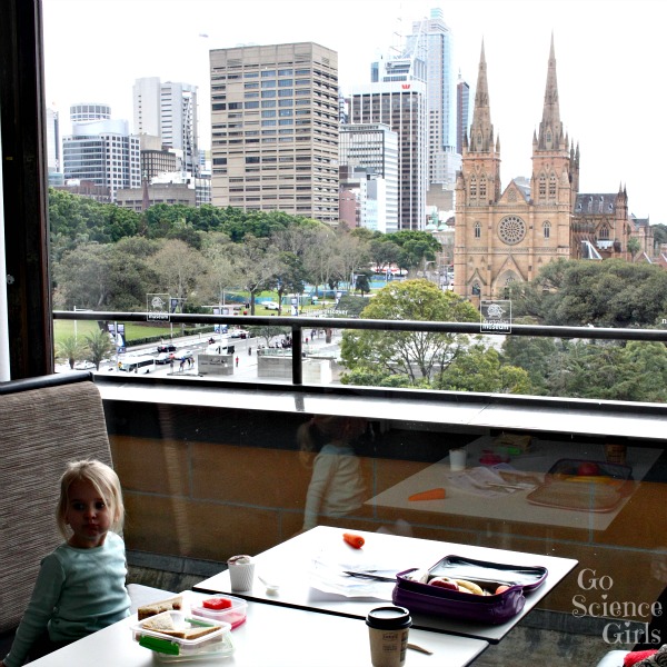 Views of Hyde Park and St Mary's Cathedral from the Australian Museum