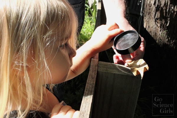 Toddler magnifying glass fire