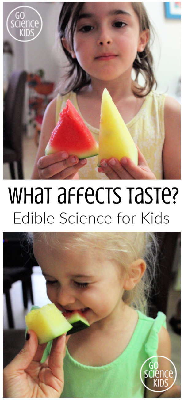 What affects taste - edible science for kids