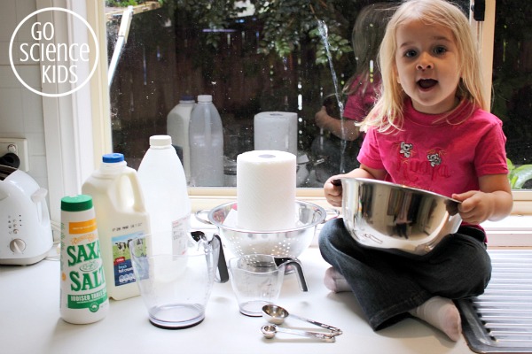 Ingredients to make homemade curds and whey