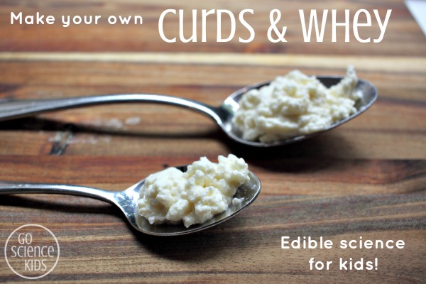 Make your own curds and whey - edible science for kids
