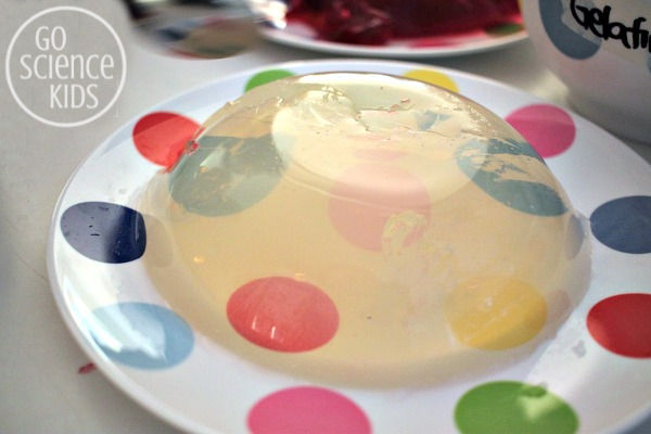 unflavoured gelatine jelly