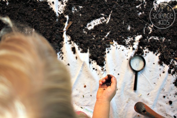 Playing in the dirt - a science experiment