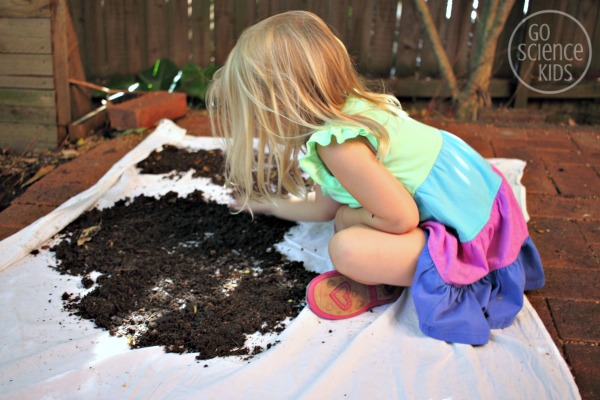 Preschool science - what lives in dirt