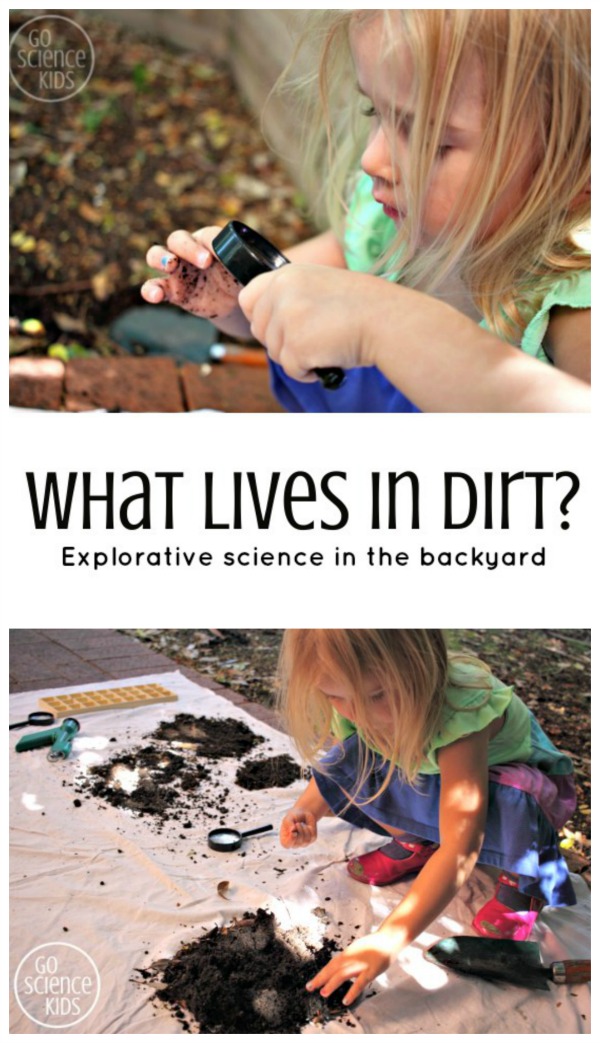 What lives in dirt - explorative backyard science experiment for preschoolers