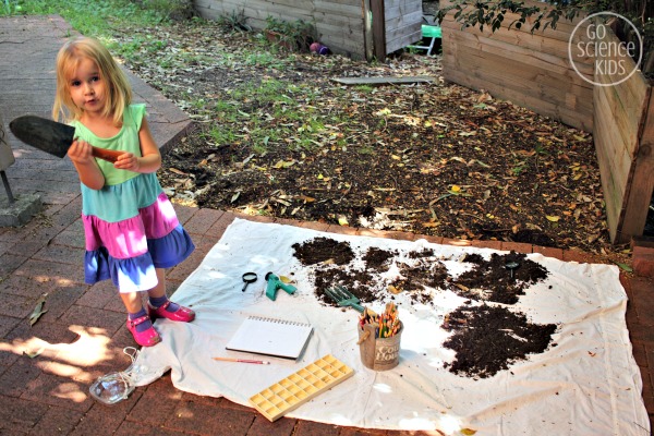 What lives in dirt - explorative backyard science for preschoolers