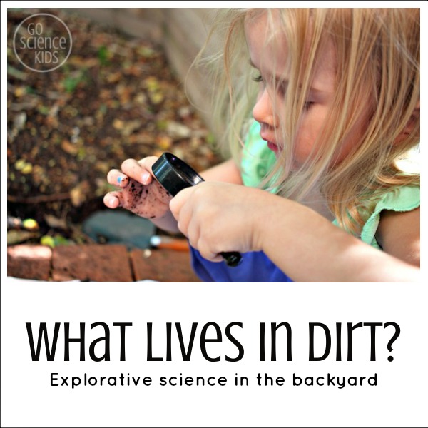 What lives in dirt - outdoor explorative science for preschoolers