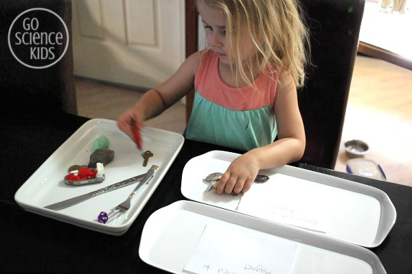 Sorting magnetic and non-magnetic items - magnet science for kids