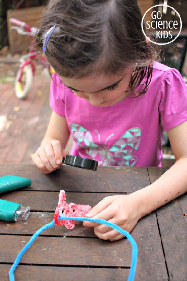 Examining Borax cystals with a magnifying glass