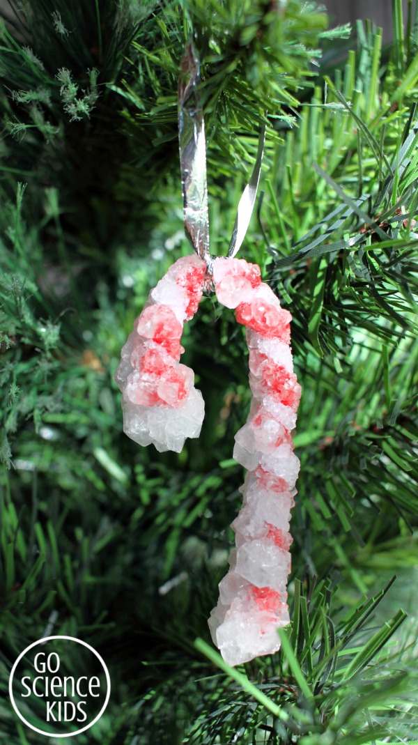 Beautiful DIY Crystal Candy Canes