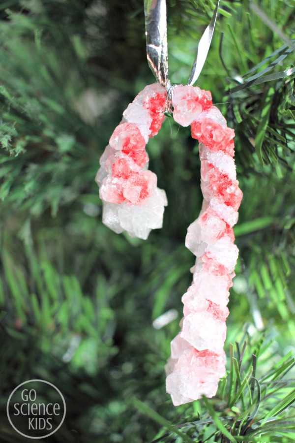 DIY crystal candy canes