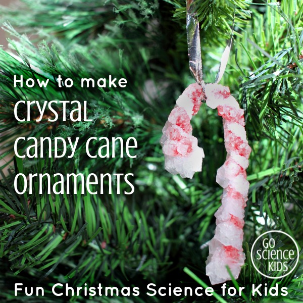 How to make Crystal Candy Cane Ornaments - fun Christmas science project for kids