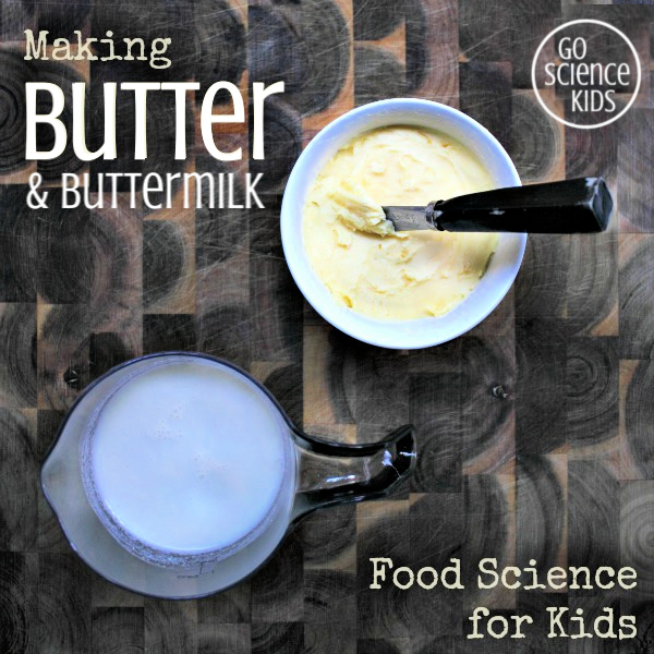 Making butter - food science for kids