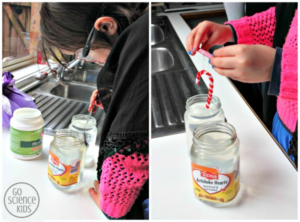 making Borax crystal candy canes