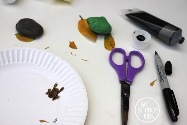 Adding stripes to the northern corroboree frog leaf