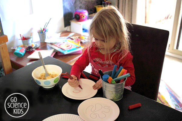 Drawing a paper plate maze