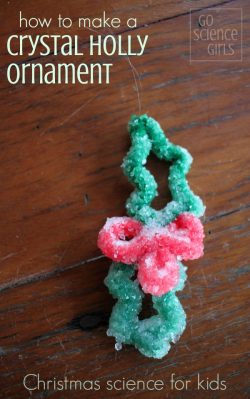 How to make a crystal holly ornament - cute Christmas science craft for kids