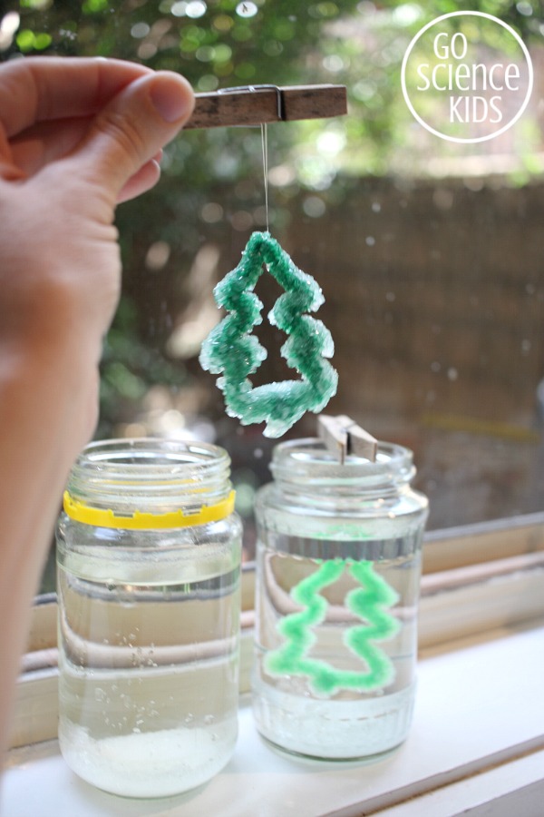 Making Borax crystal Christmas trees - fun science for kids