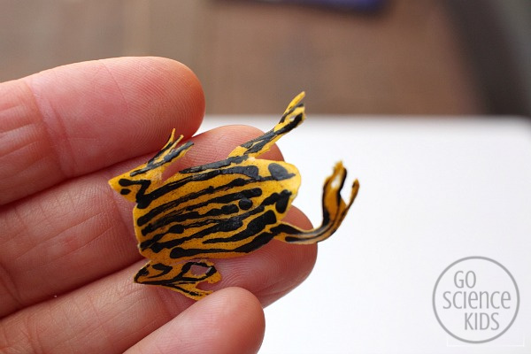 Tiny leaf southern corroboree frog craft