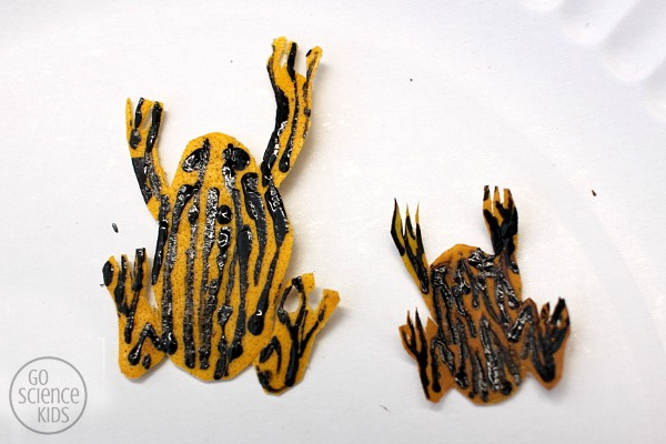 Adding stripes to the northern corroboree frog leaf
