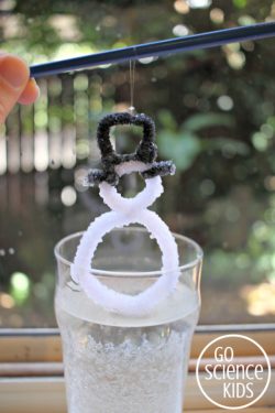 How to make a crystal snowman - fun chemistry for kids