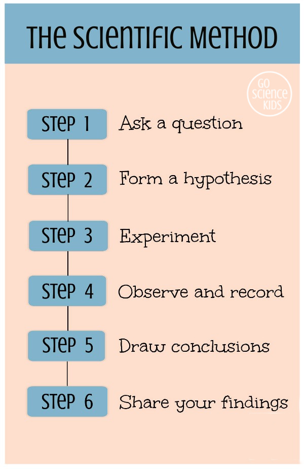 The 6 steps of the scientific method
