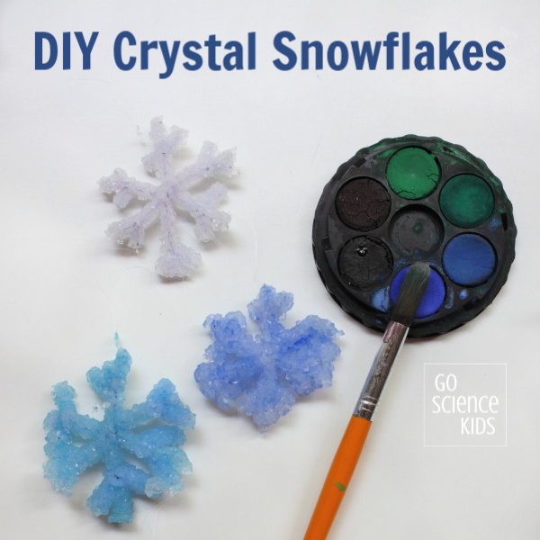 Make your own crystal snowflakes at home - Go Science Kids