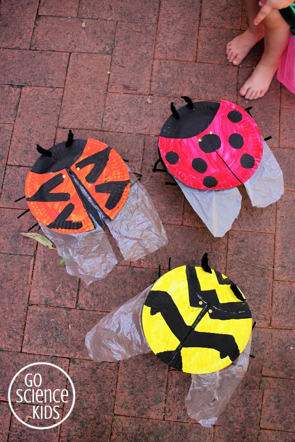 Paper plate ladybird (ladybug) craft, with wings! And learn about three different species of ladybird.