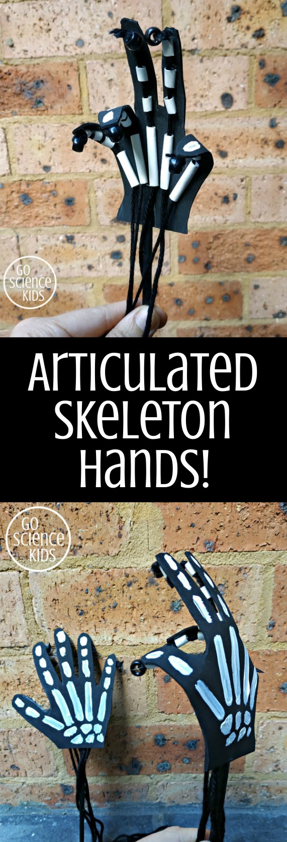 Articulated skeleton hands - fun science craft for kids to make