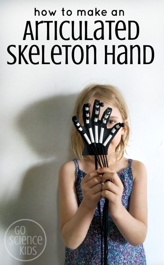How to make an articulated skeleton hand
