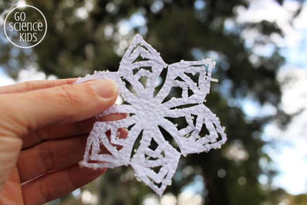 Salt Crystal Snowflakes 4