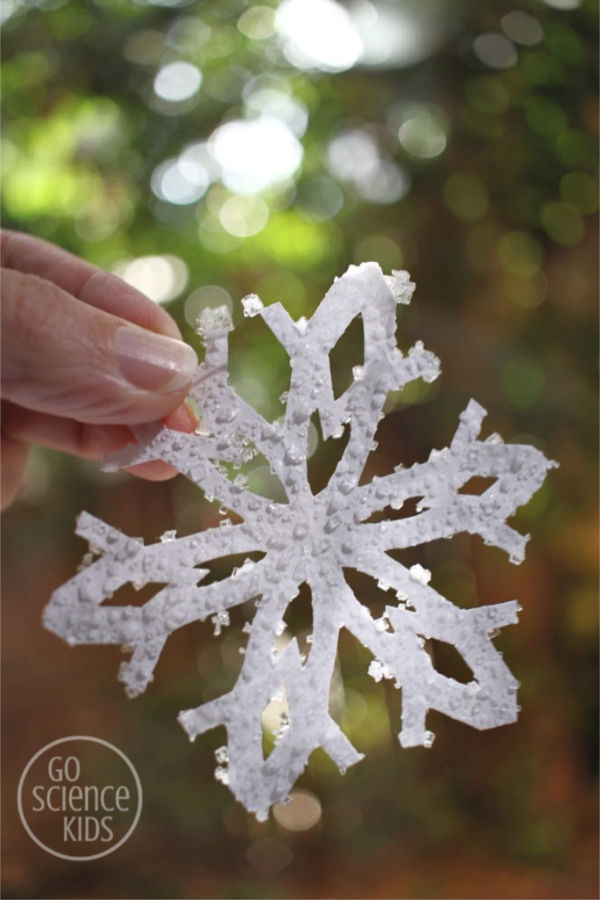 Salt Crystal Snowflakes 12