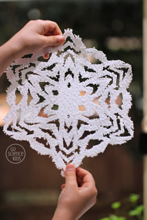 Salt Crystal Snowflakes 8