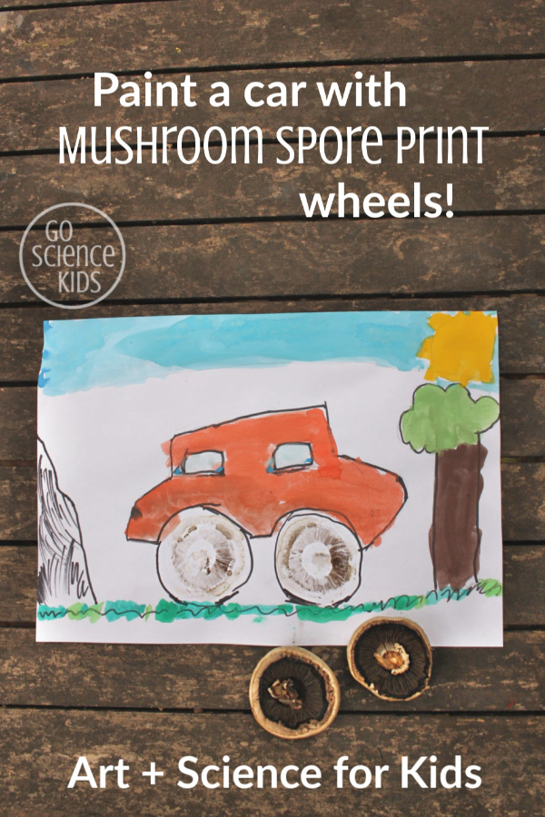 Paint a car with mushroom spore print wheels - art + science for kids