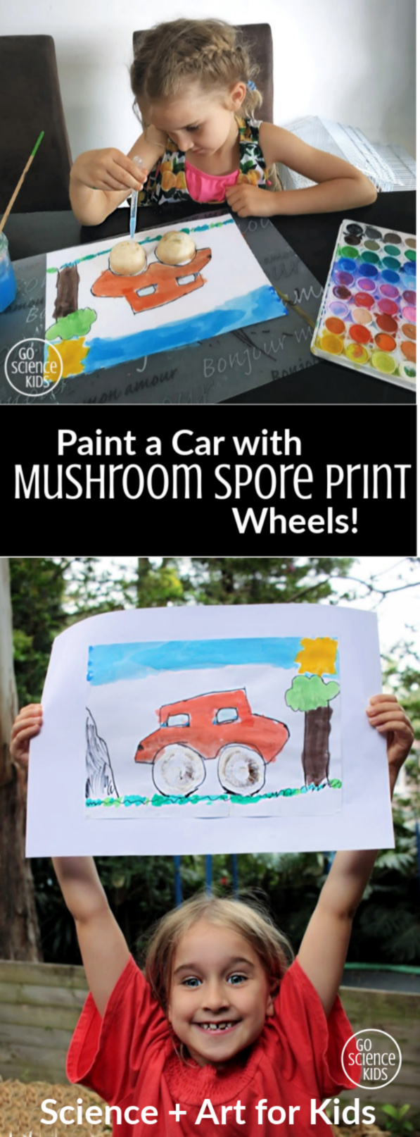 Paint a car with mushroom spore print wheels - fun art + science activity for kids