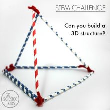 STEM Challenge. Building 3D structures.
