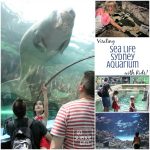 Visiting Sea Life Sydney Aquarium with Kids - fun and education outing for the whole family